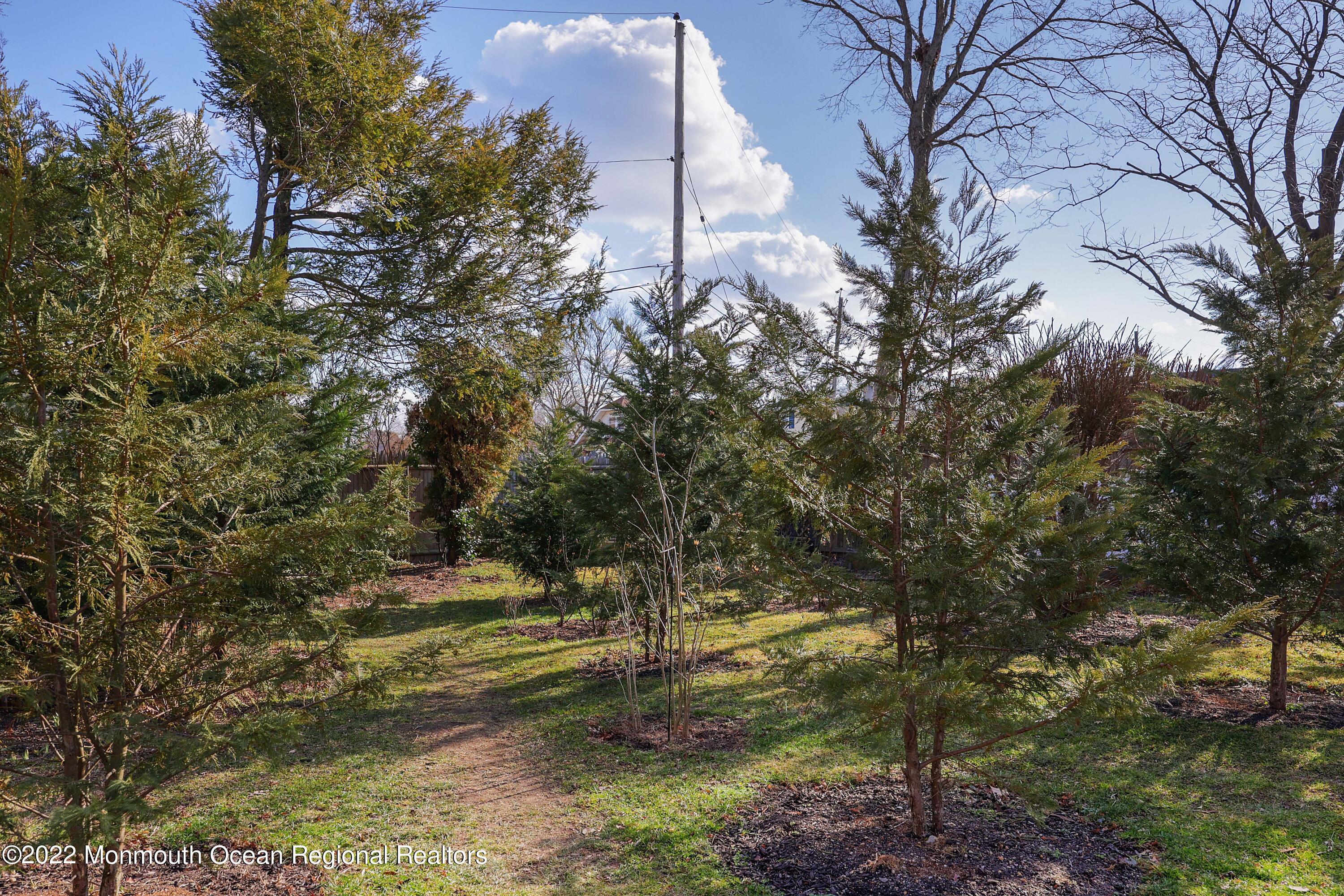 500 Wakefield Road Neptune Township, NJ 07753 - Photo 25 of 34 758A6211_2_3_4