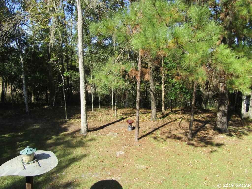 1135 Tansy Road Mayo, FL 32066 - Photo 27 of 30 Gallery Image 27