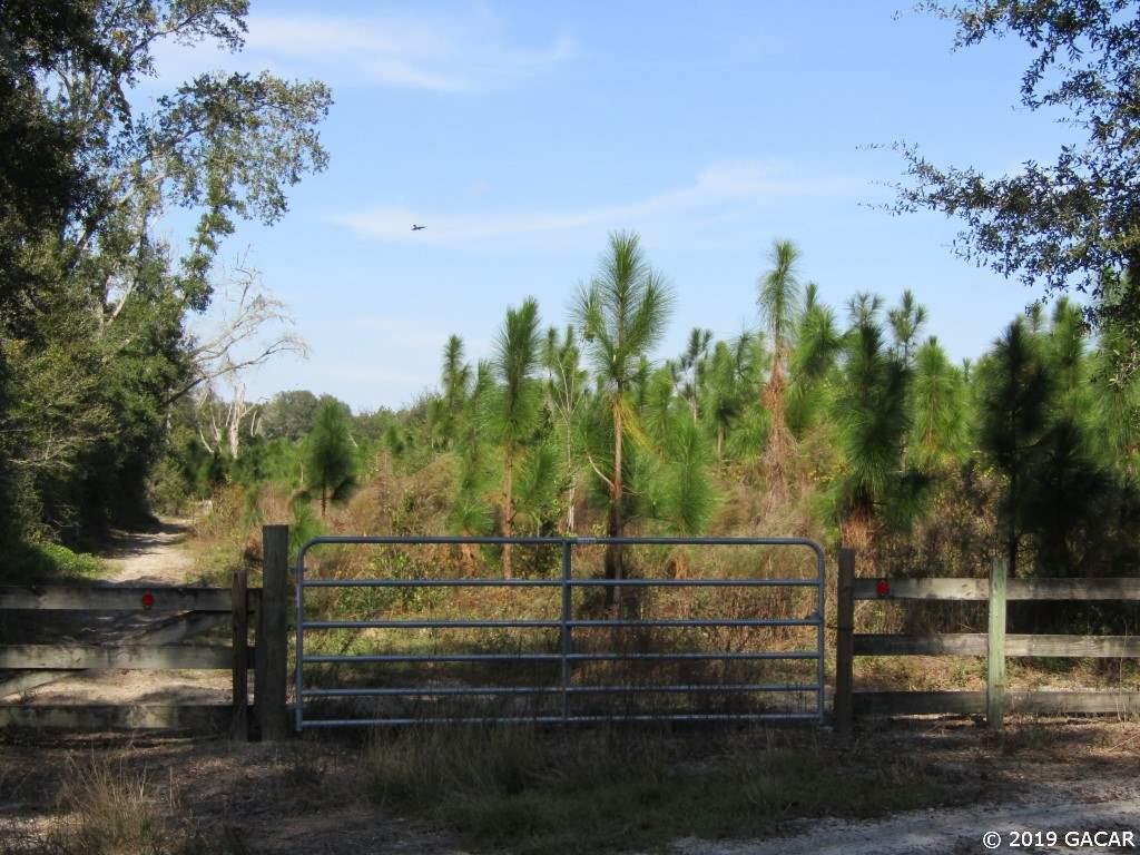 1135 Tansy Road Mayo, FL 32066 - Photo 29 of 30 Gallery Image 29