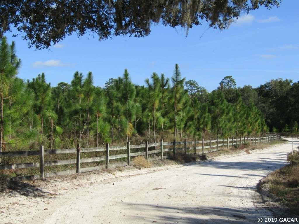1135 Tansy Road Mayo, FL 32066 - Photo 30 of 30 Gallery Image 30