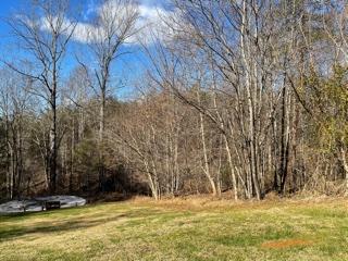 80 Tolley Road Hardy, VA 24101 - Photo 5 of 20 IMG_0340