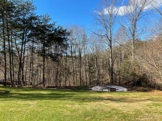 80 Tolley Road Hardy, VA 24101 - Photo 6 of 20 IMG_0341