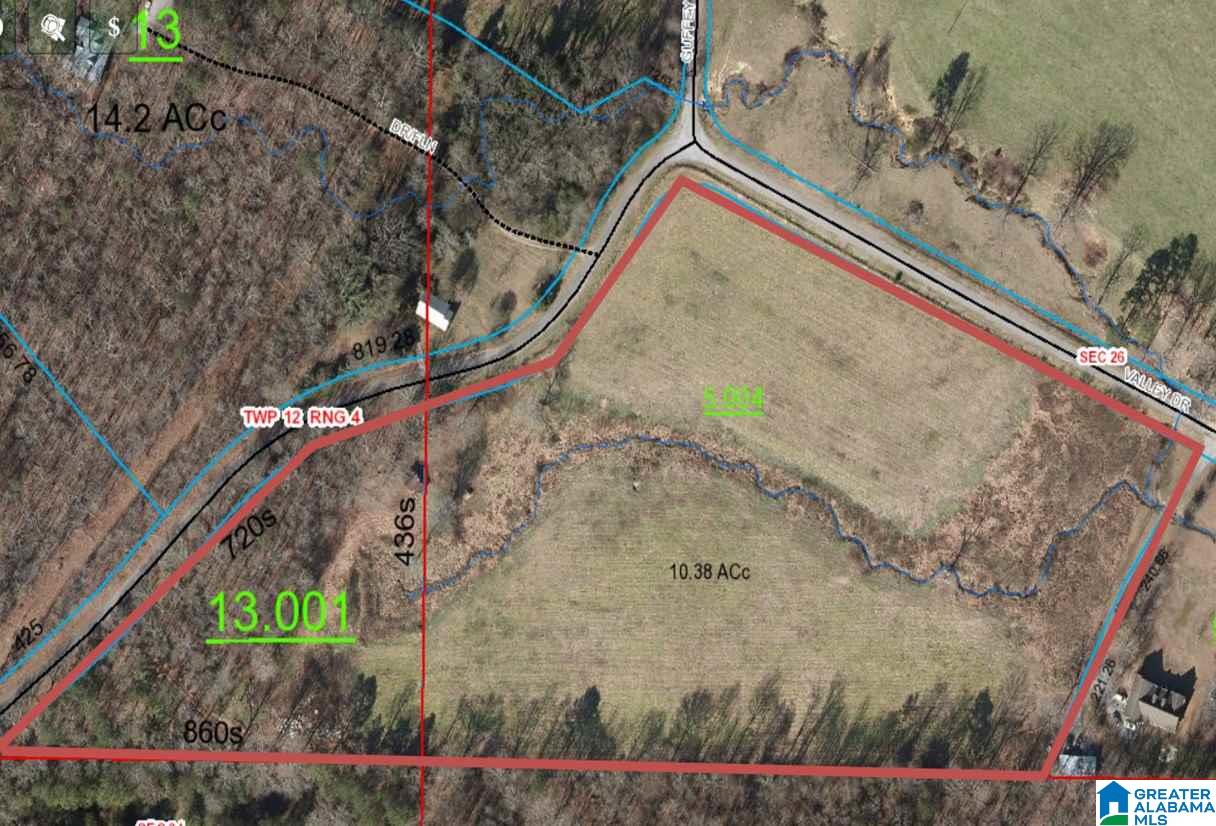 0 Valley Drive Steele, AL 35987 - Photo 6 of 6