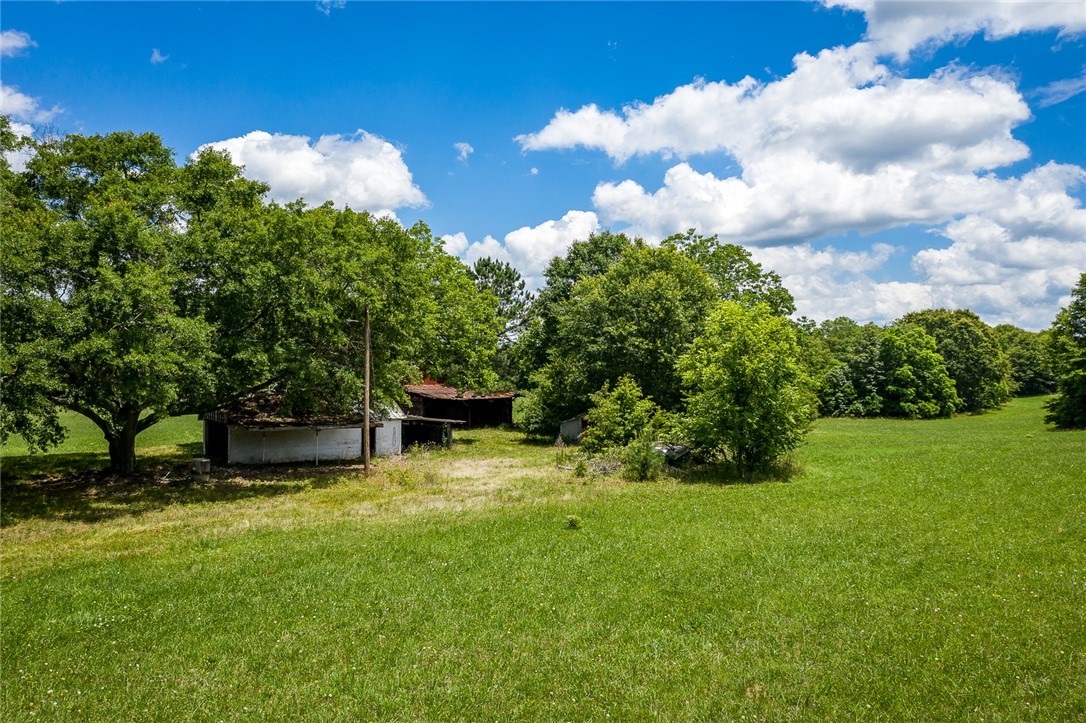 706 Holliday Dam Road Honea Path, SC 29654 - Photo 9 of 14