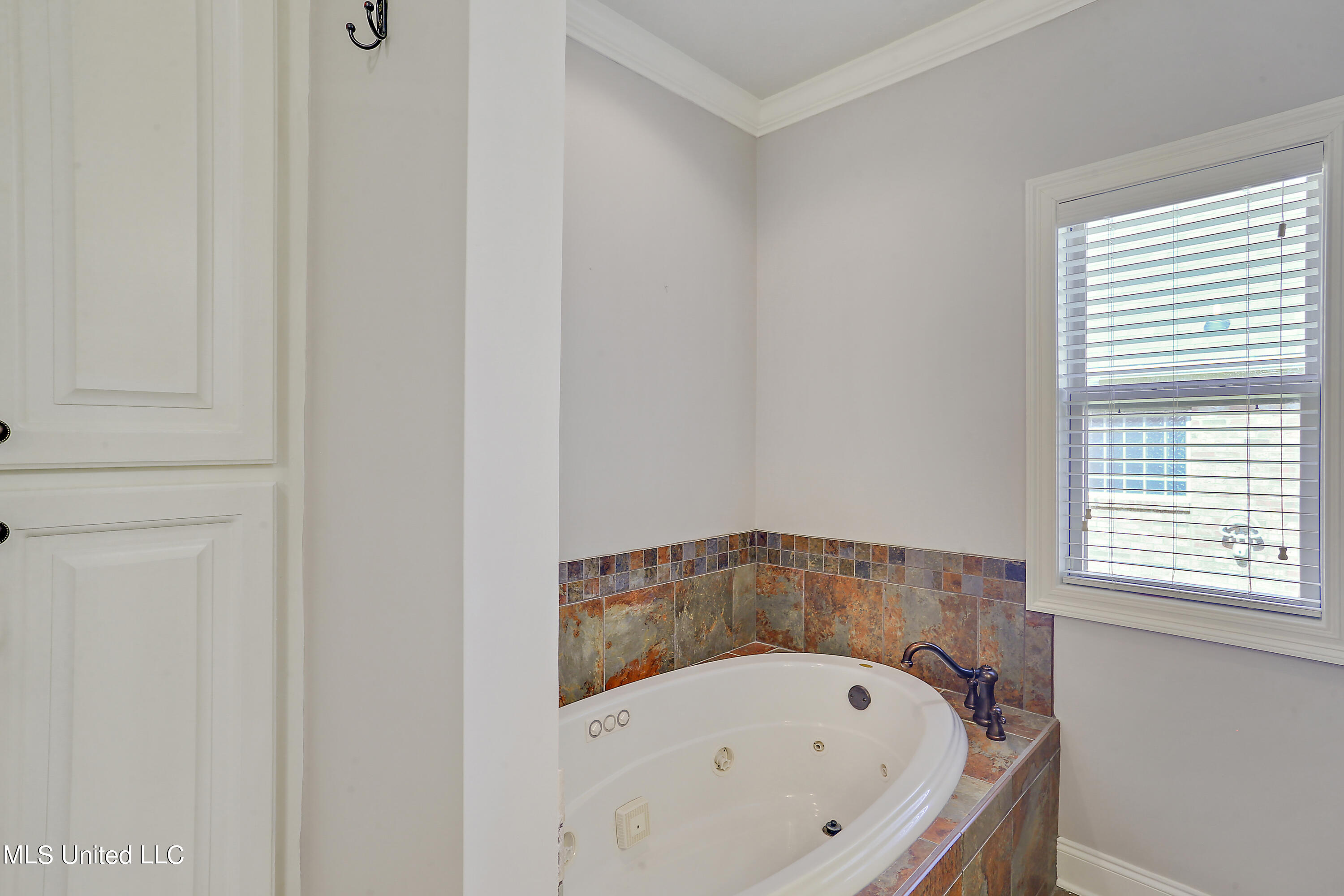 109 Turtle Ridge Drive Brandon, MS 39047 - Photo 23 of 32 IMG_0854