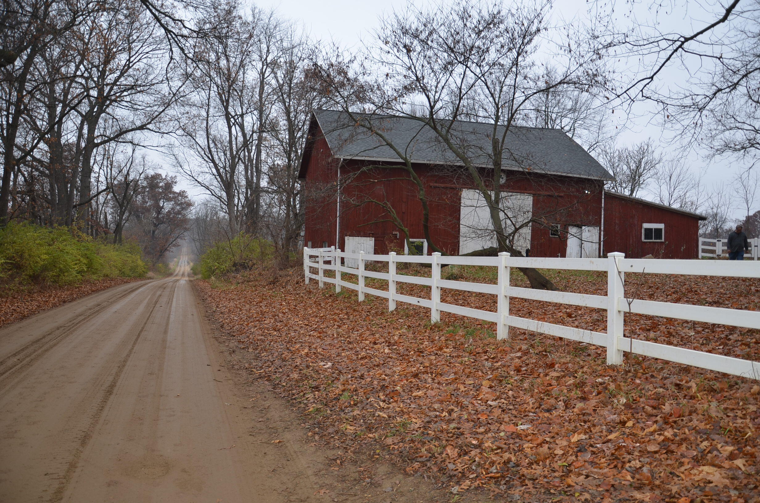 3366 Ludlow Road Albion, MI 49224 - Photo 28 of 50 DSC_5466