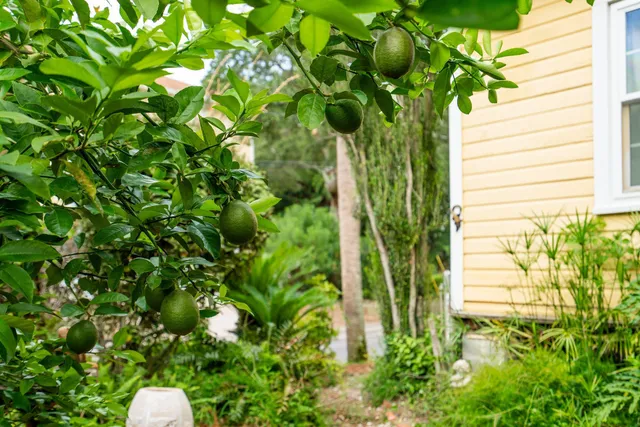 $1,575,000 | 120 West Hudson Avenue, Folly Beach, SC 29439