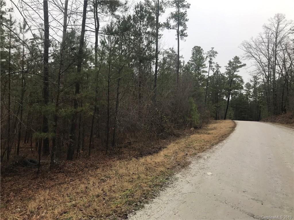 Tract A Currence Road Clover, SC 29710 - Photo 1 of 1