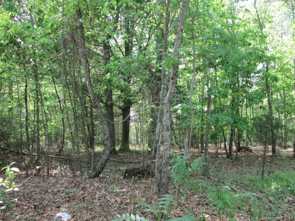 933 Myers Mill Road Olin, NC 28660 - Photo 11 of 16 Gallery Image 11