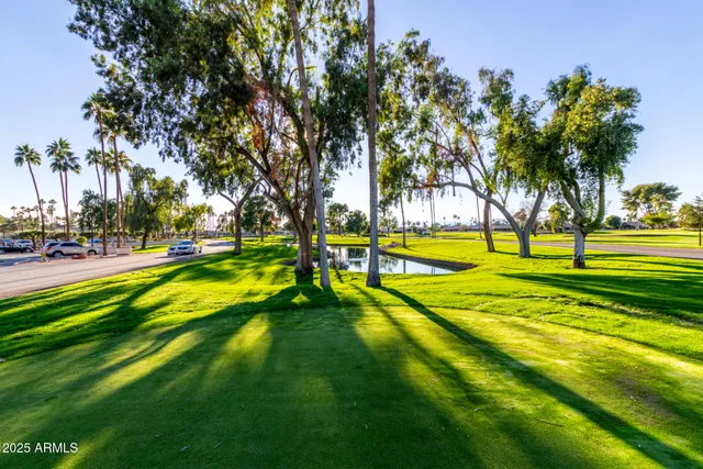 a view of a park with big trees