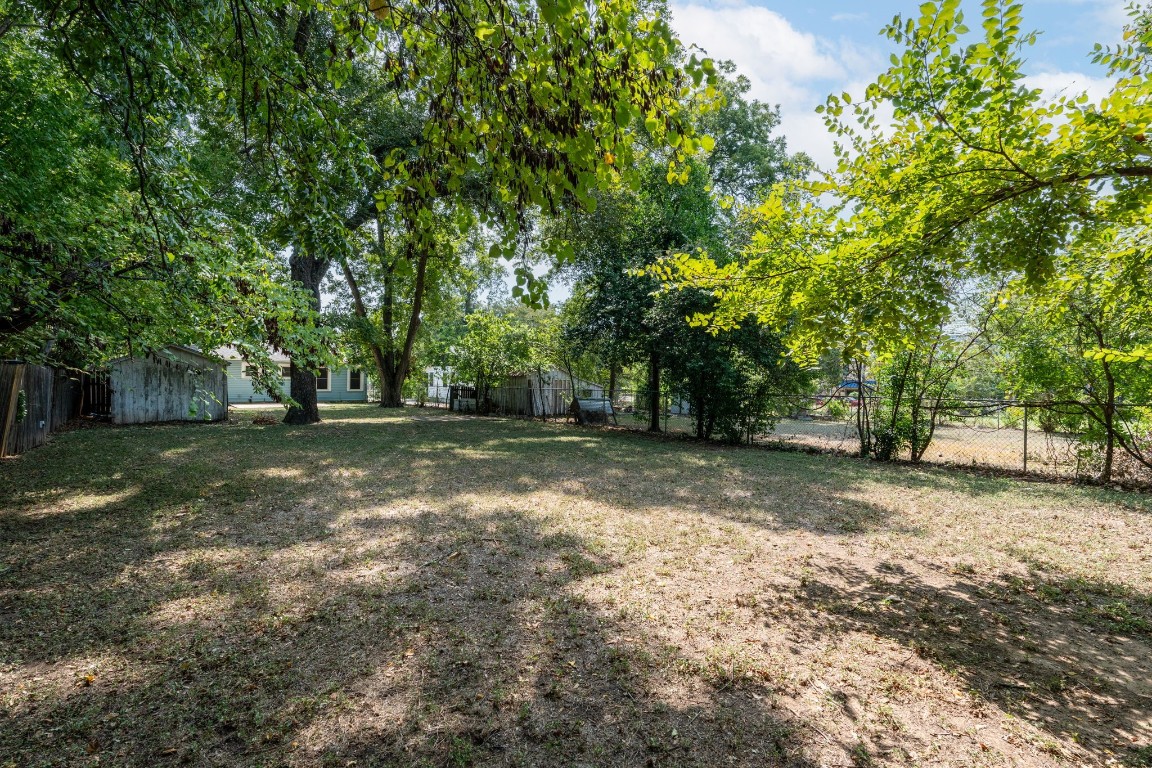 746 Springdale Road Austin, TX 78702 - Photo 16 of 19 a view of a tree in the middle of a yard