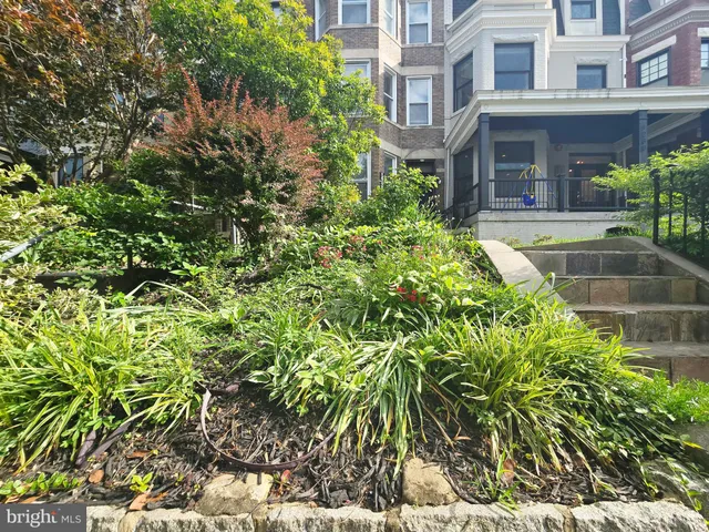 a view of a multi story yard with plants