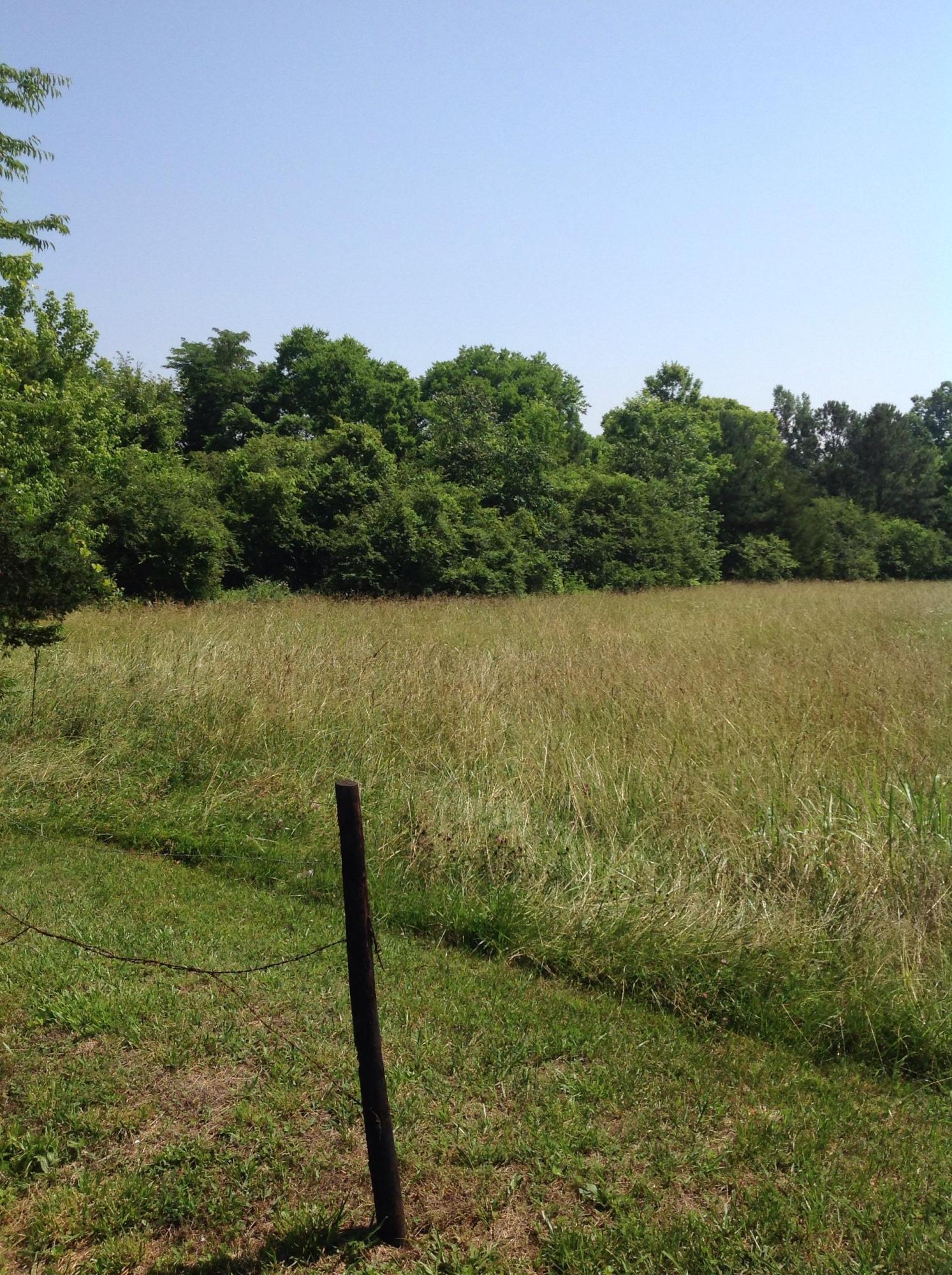 241 Old Mill Road Ringgold, GA 30736 - Photo 14 of 14 image
