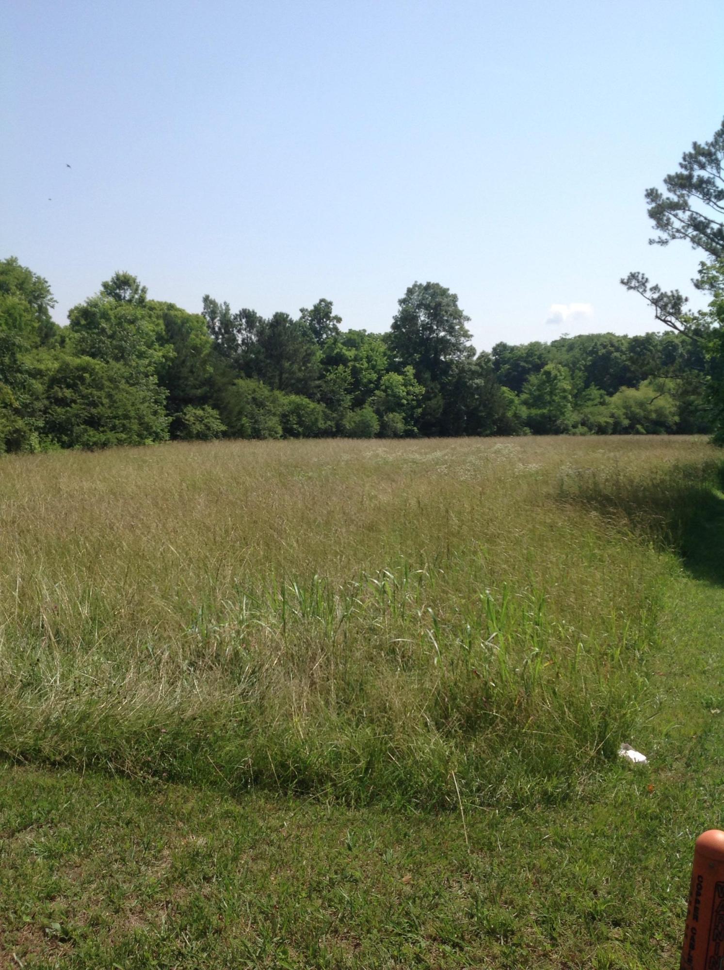 241 Old Mill Road Ringgold, GA 30736 - Photo 10 of 14 image
