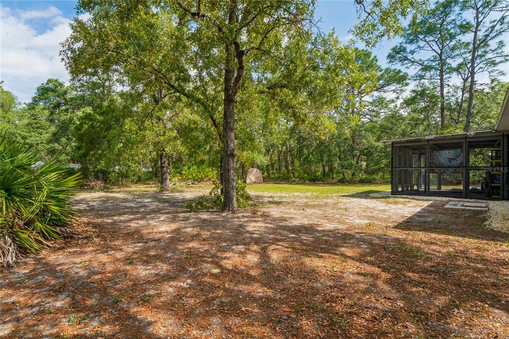 14345 Missouri Skylark Road Weeki Wachee, FL 34614 - Photo 37 of 46