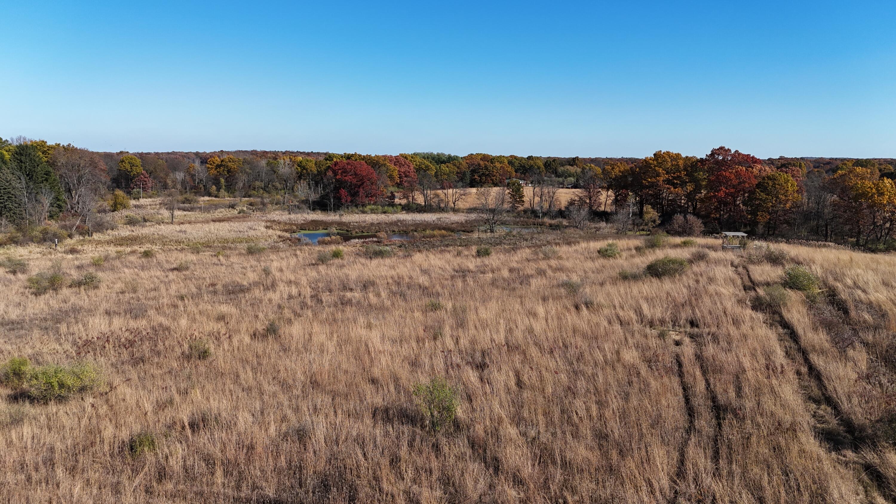 0 Tophith Road Grass Lake, MI 49240 - Photo 5 of 9 dji_fly_20251102_131248_0115_17621068444