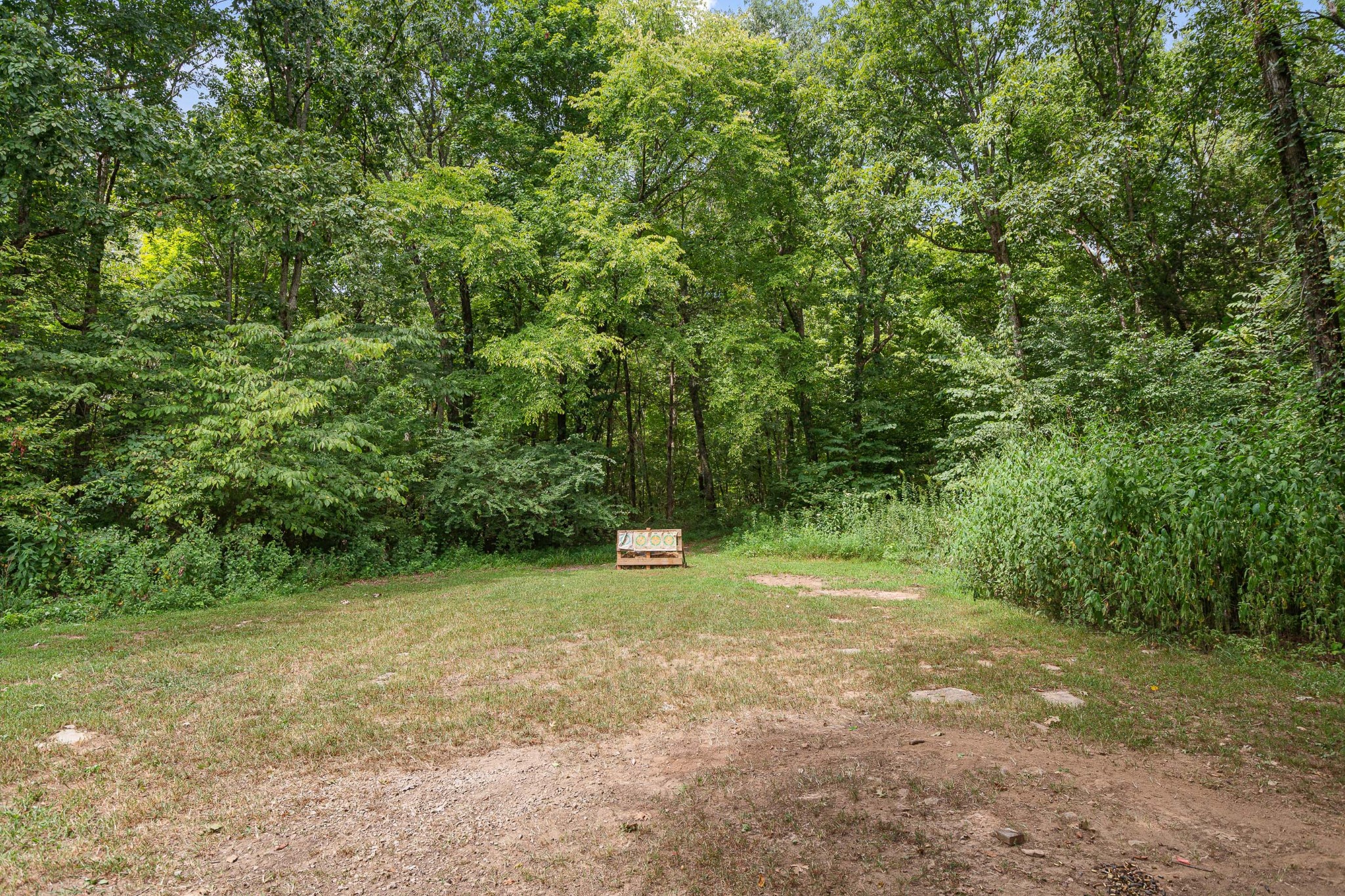 3119 Luke Moser Road Columbia, TN 38401 - Photo 54 of 59 Gallery Image 54