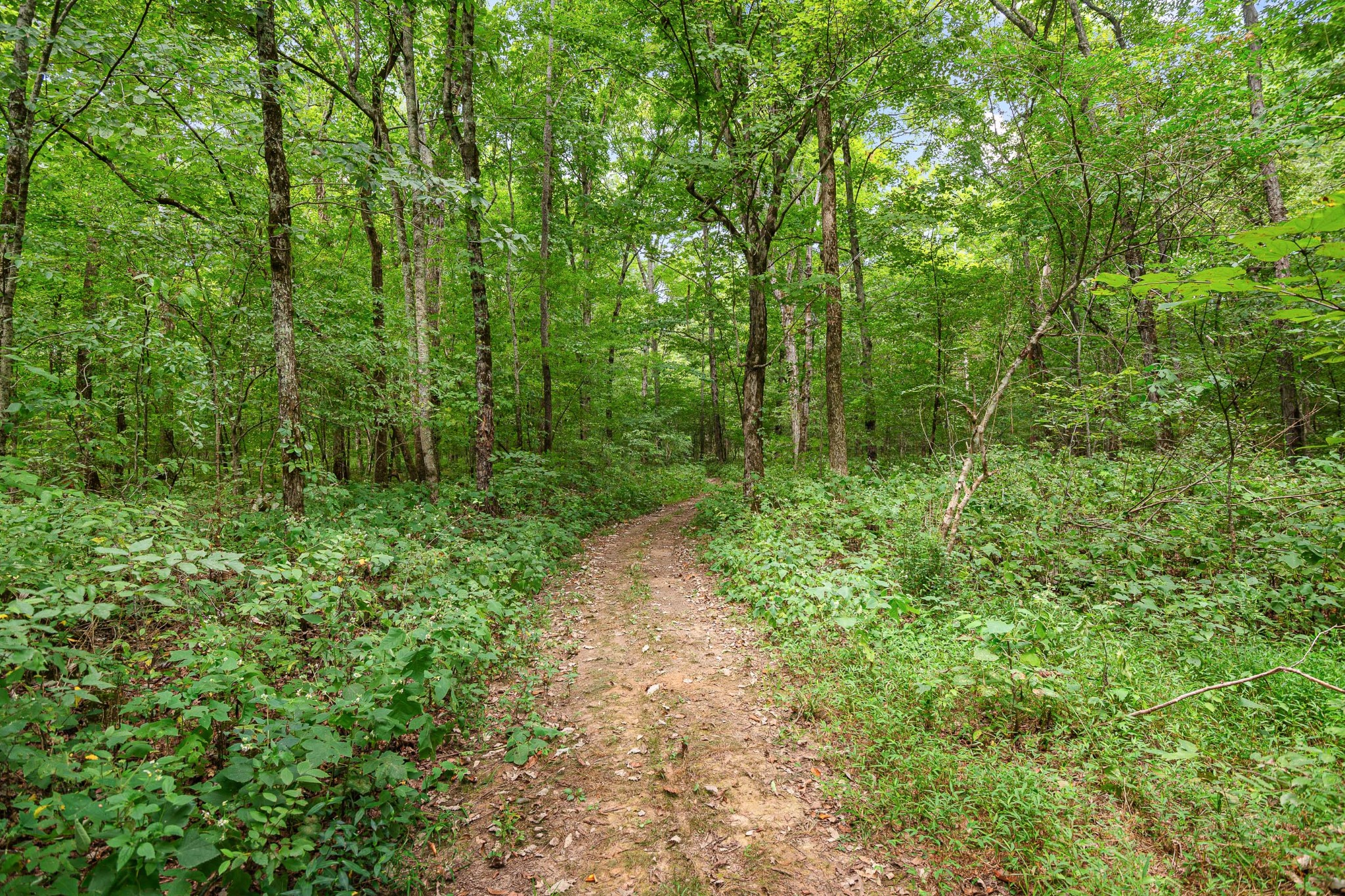 3119 Luke Moser Road Columbia, TN 38401 - Photo 55 of 59 Gallery Image 55
