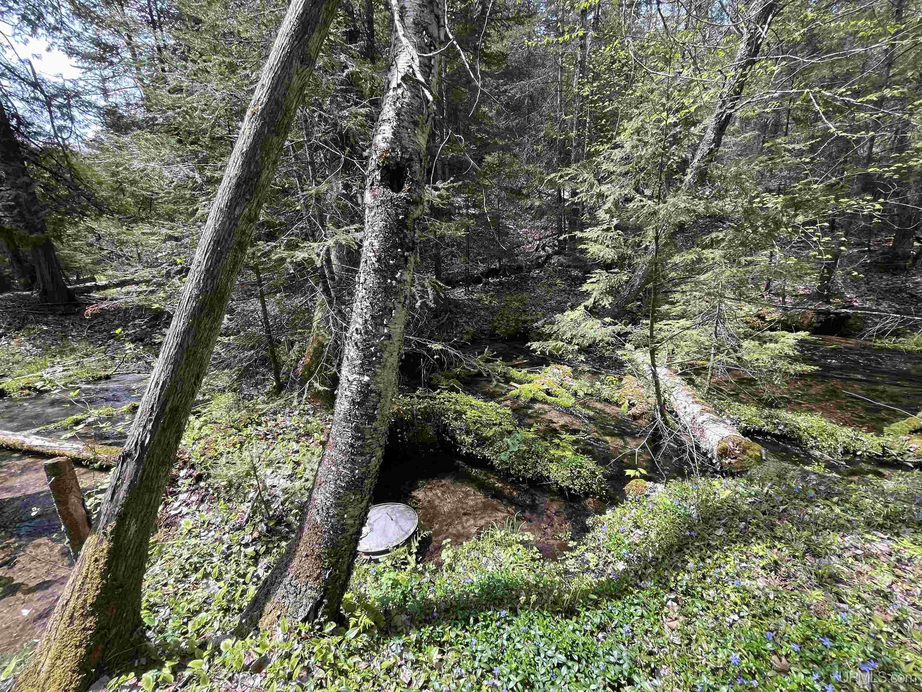 38-acres County Rd NA Road Marquette, MI 49855 - Photo 42 of 70