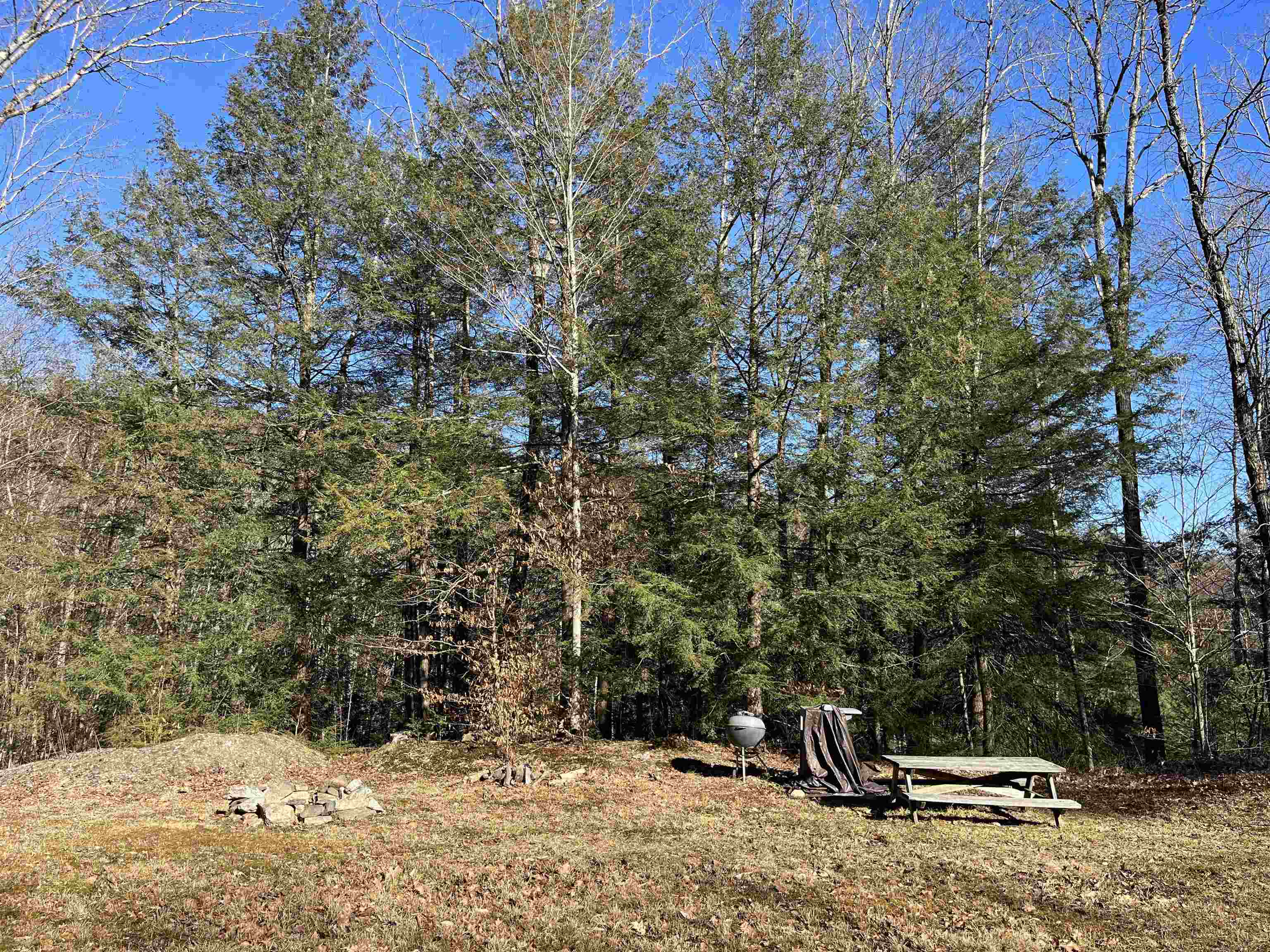 0 Chesterfield Road, Unit 352 Hinsdale, NH 03451 - Photo 6 of 29 Gallery Image 6