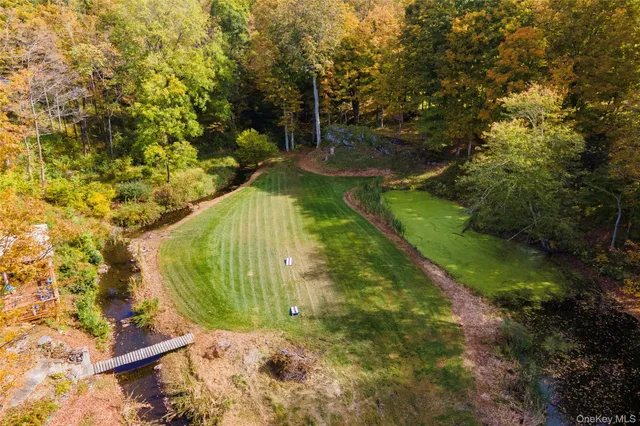 a view of a yard with plants and large trees