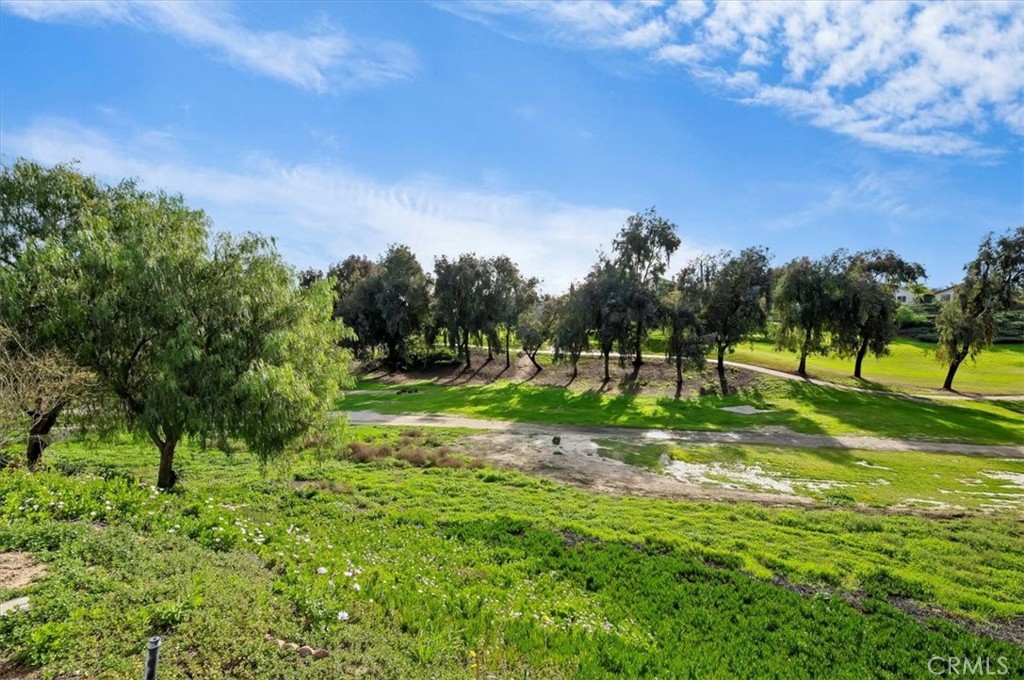 31130 South General Kearny Road, Unit 163 Temecula, CA 92591 - Photo 4 of 49