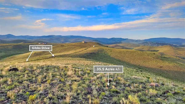 a view of a field with an ocean