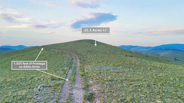a view of a field with an trees in the background