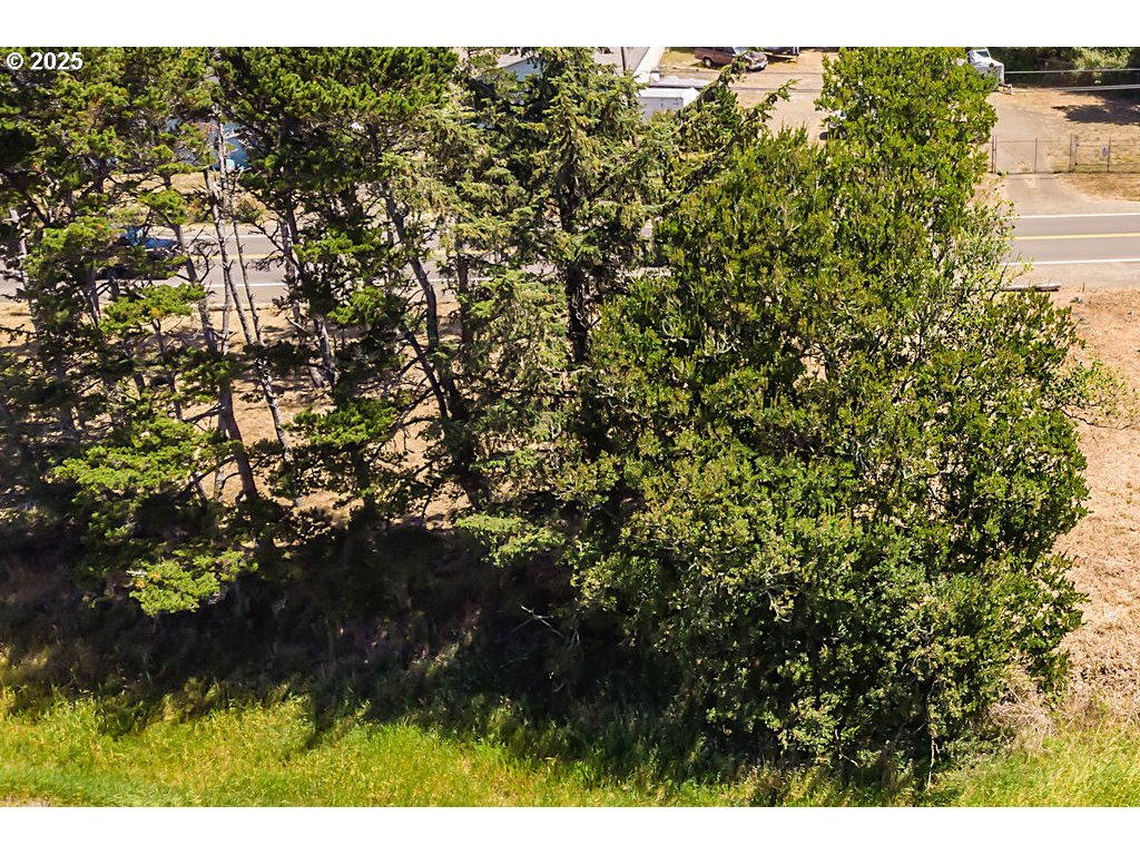 Brooten, Unit PARCEL1 Pacific City, OR 97135 - Photo 13 of 14 a view of a tree