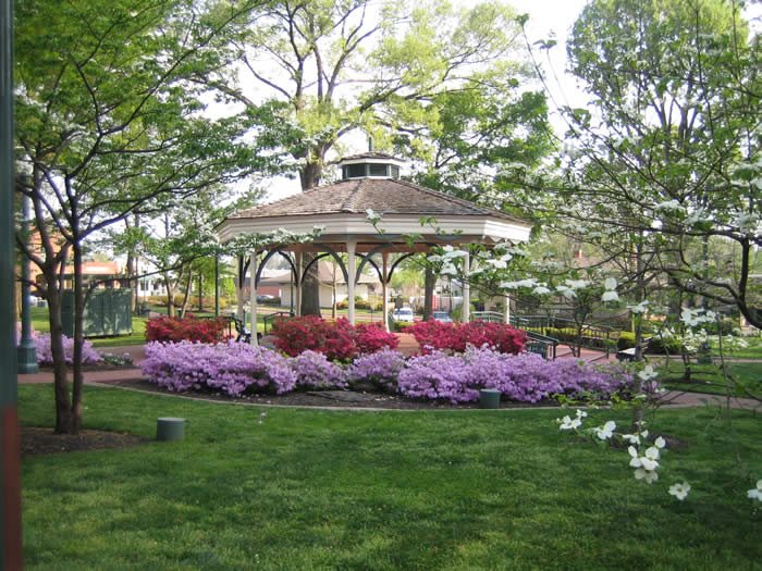 983 Poplar Leaf Road Collierville, TN 38017 - Photo 16 of 21