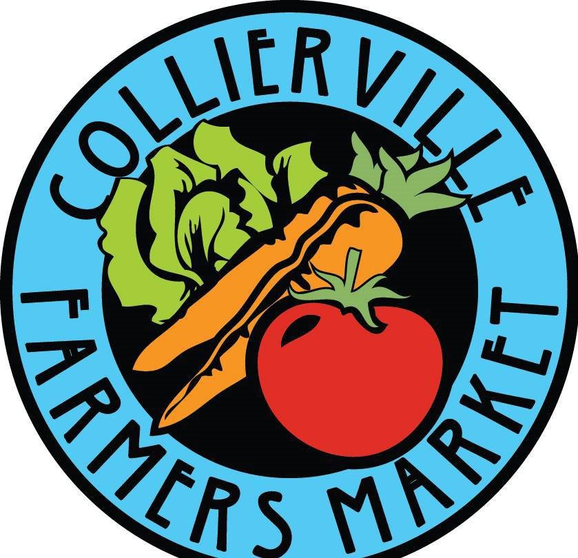 983 Poplar Leaf Road Collierville, TN 38017 - Photo 18 of 21