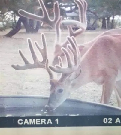 $1,300,000 | 400 Indian Hills Road, Gatesville, TX 76528