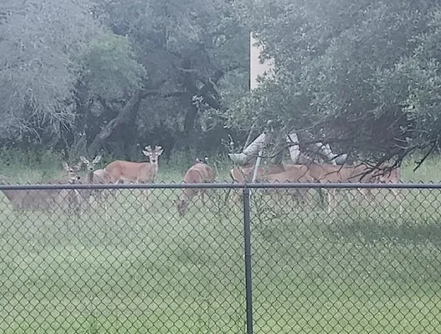 $1,300,000 | 400 Indian Hills Road, Gatesville, TX 76528