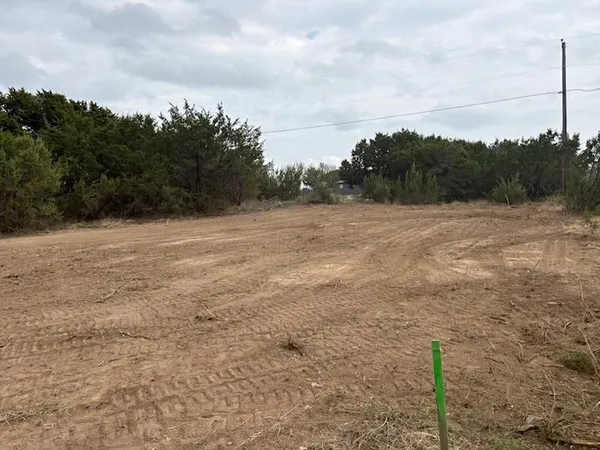 a view of empty field with trees