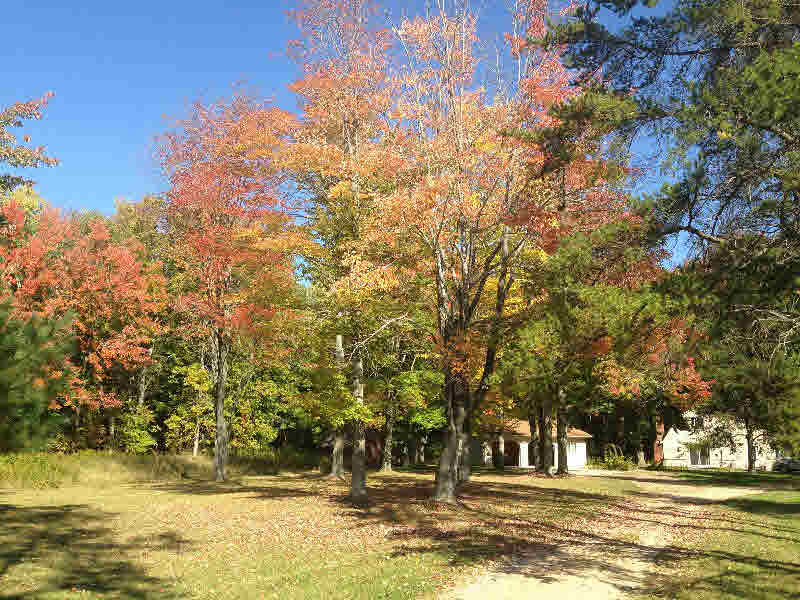 1731 Wieman Road Beaverton, MI 48612 - Photo 3 of 48
