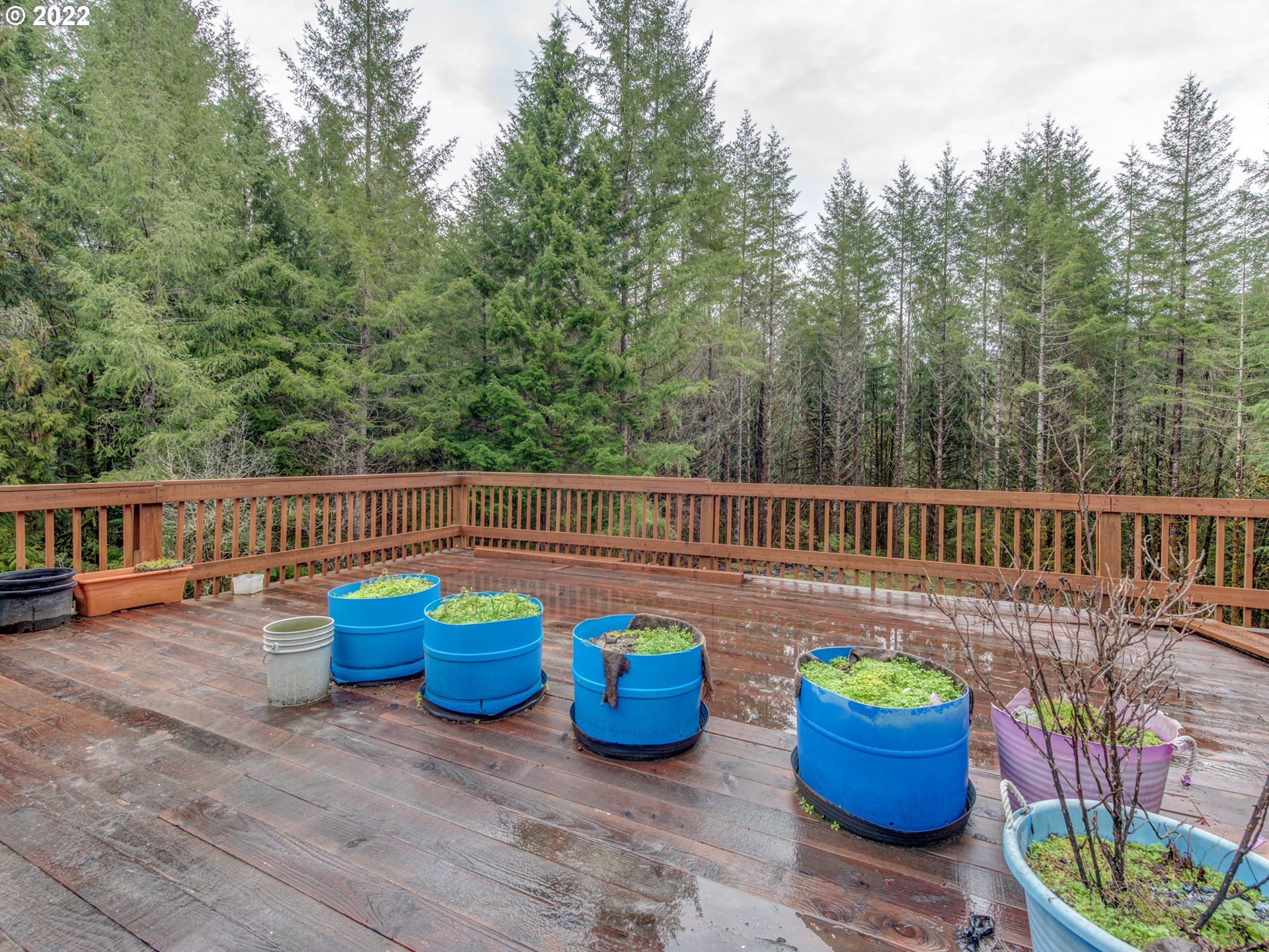 36586 Parsons Creek Road Springfield, OR 97478 - Photo 26 of 31 Deck