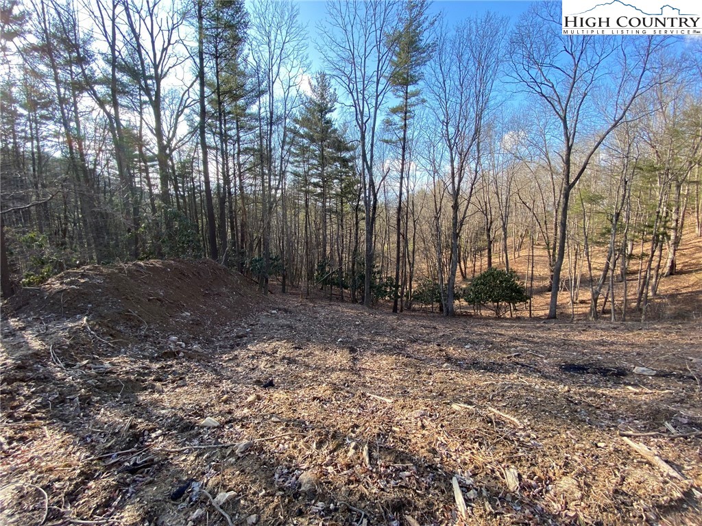 Tbd Lot 36 Vista Ridge Road West Jefferson, NC 28694 - Photo 9 of 15 Gallery Image 9
