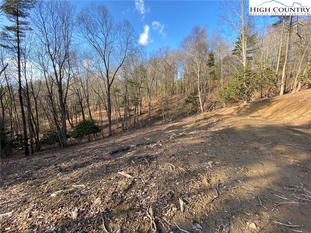 Tbd Lot 36 Vista Ridge Road West Jefferson, NC 28694 - Photo 10 of 15 Gallery Image 10