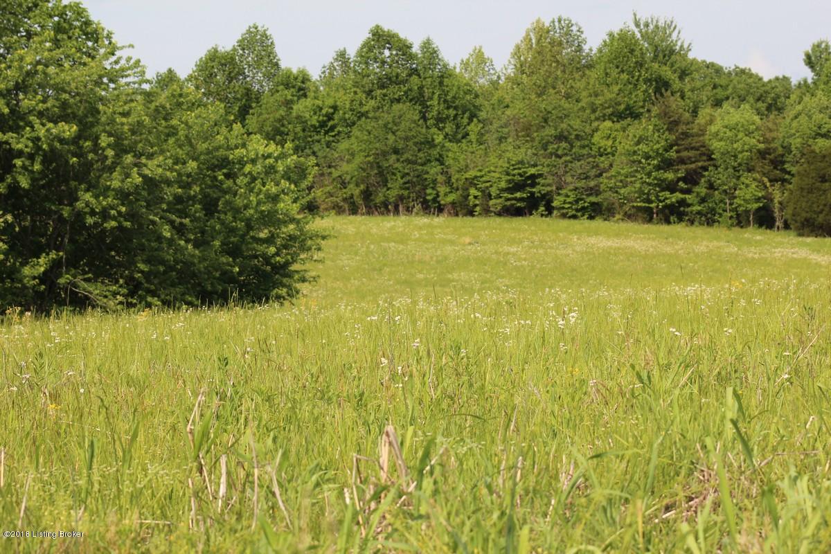 1000 Ready Jackson Road Caneyville, KY 42721 - Photo 23 of 31 Mudd Farms21