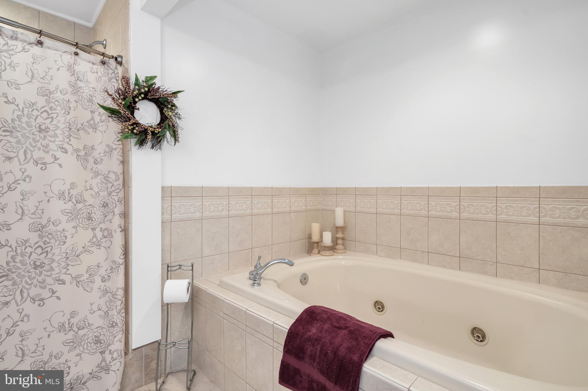 50 Shenandoah Heights Road Front Royal, VA 22630 - Photo 16 of 35 Spa Tub & Large Stall Shower!