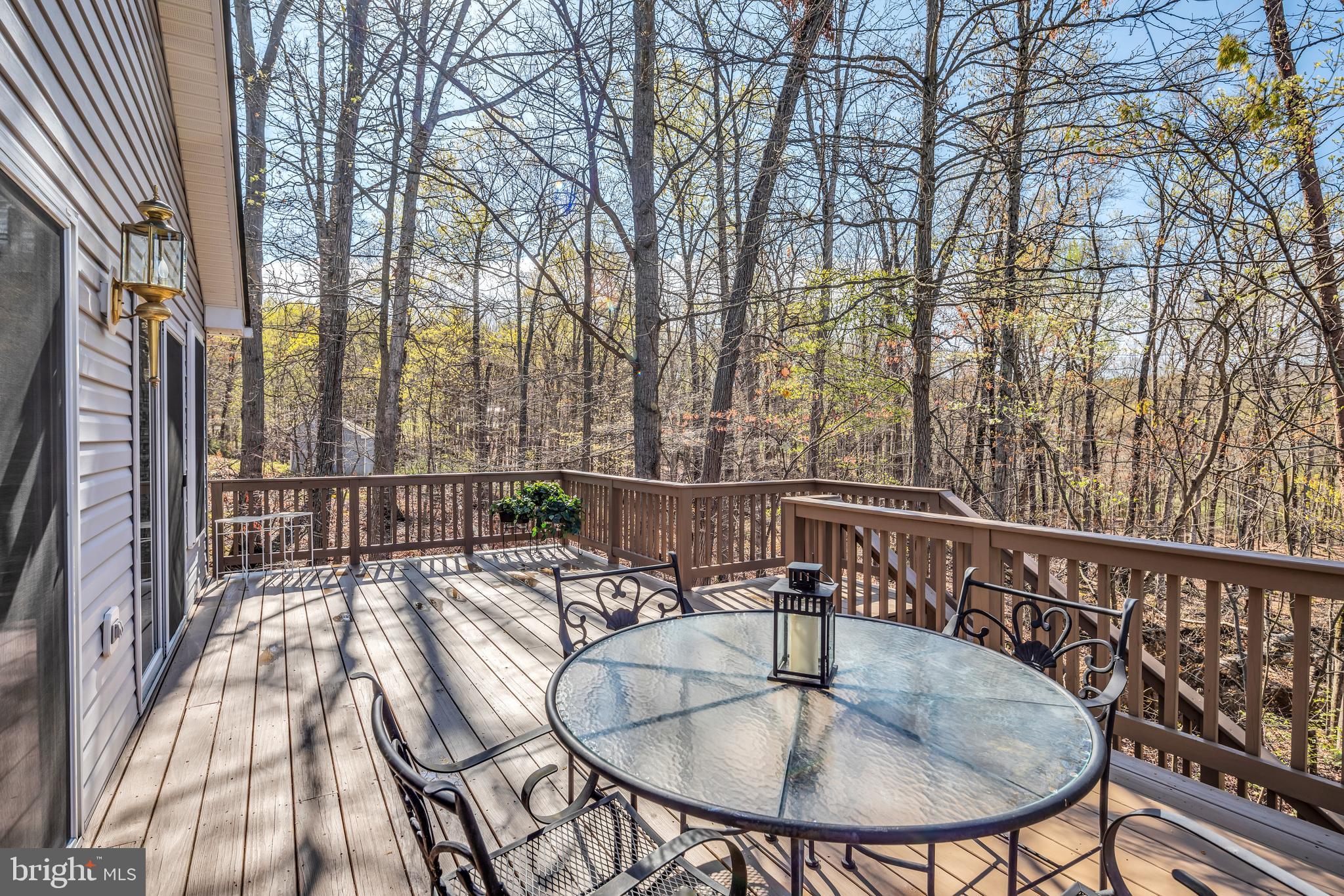 50 Shenandoah Heights Road Front Royal, VA 22630 - Photo 20 of 35 Dual Sliding Doors Open to 21' Deck