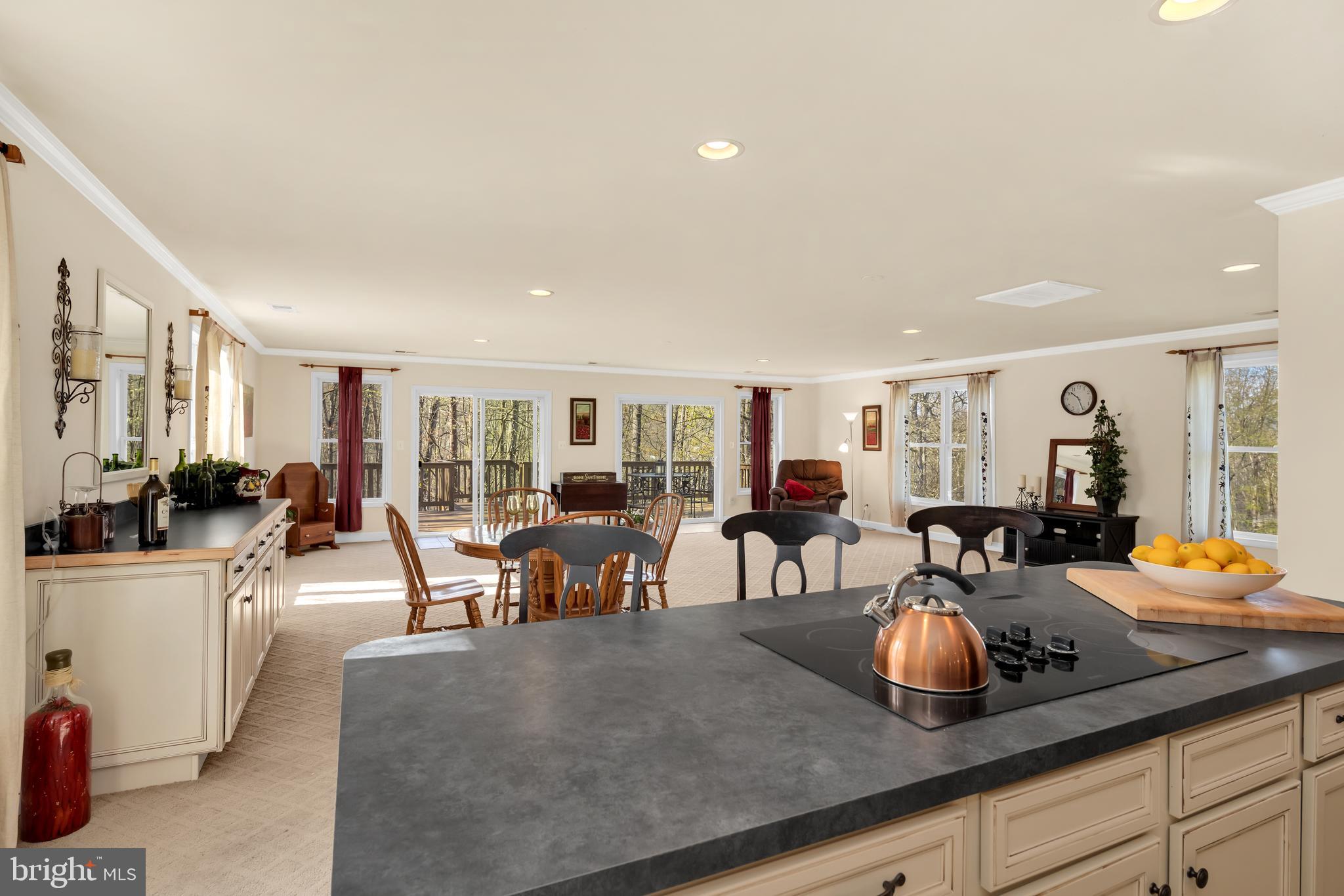 50 Shenandoah Heights Road Front Royal, VA 22630 - Photo 7 of 35 Island Flat Top Cooking