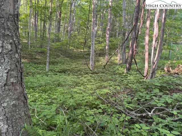 a view of outdoor space and garden