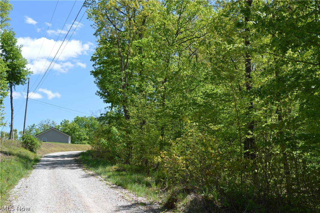 Champion School Road Belleville, WV 26133 - Photo 4 of 5 Gallery Image 4