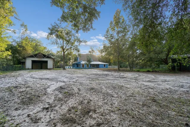 a view of a backyard with large trees