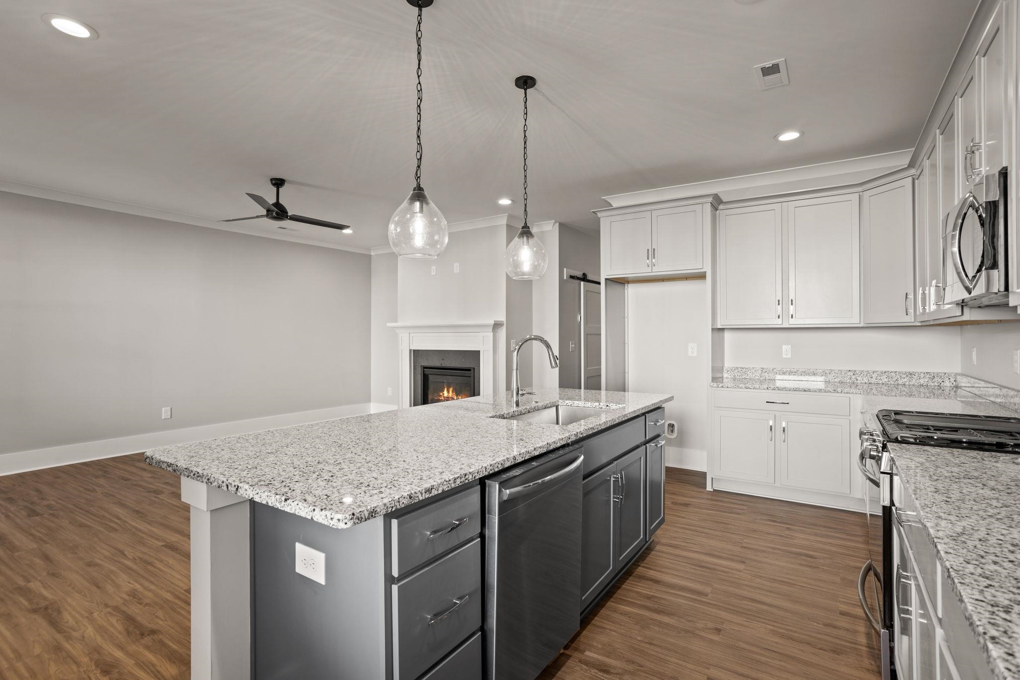 1325 South Pinot Road Duncan, SC 29334 - Photo 5 of 21
