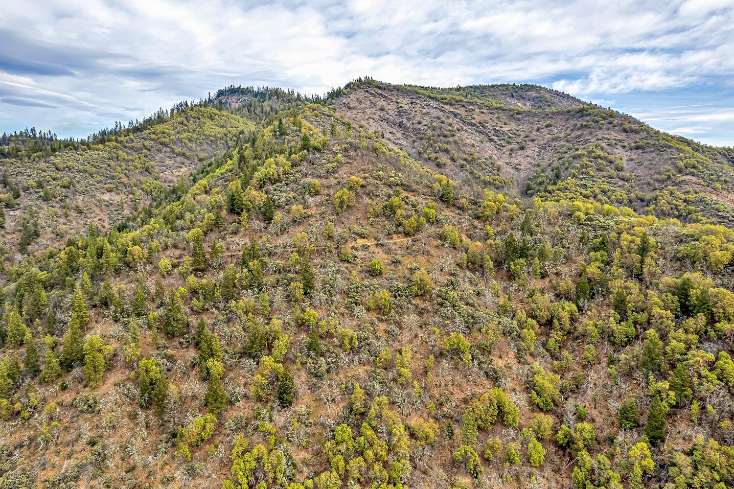 0 Sykes Creek Road Rogue River, OR 97537 - Photo 8 of 15