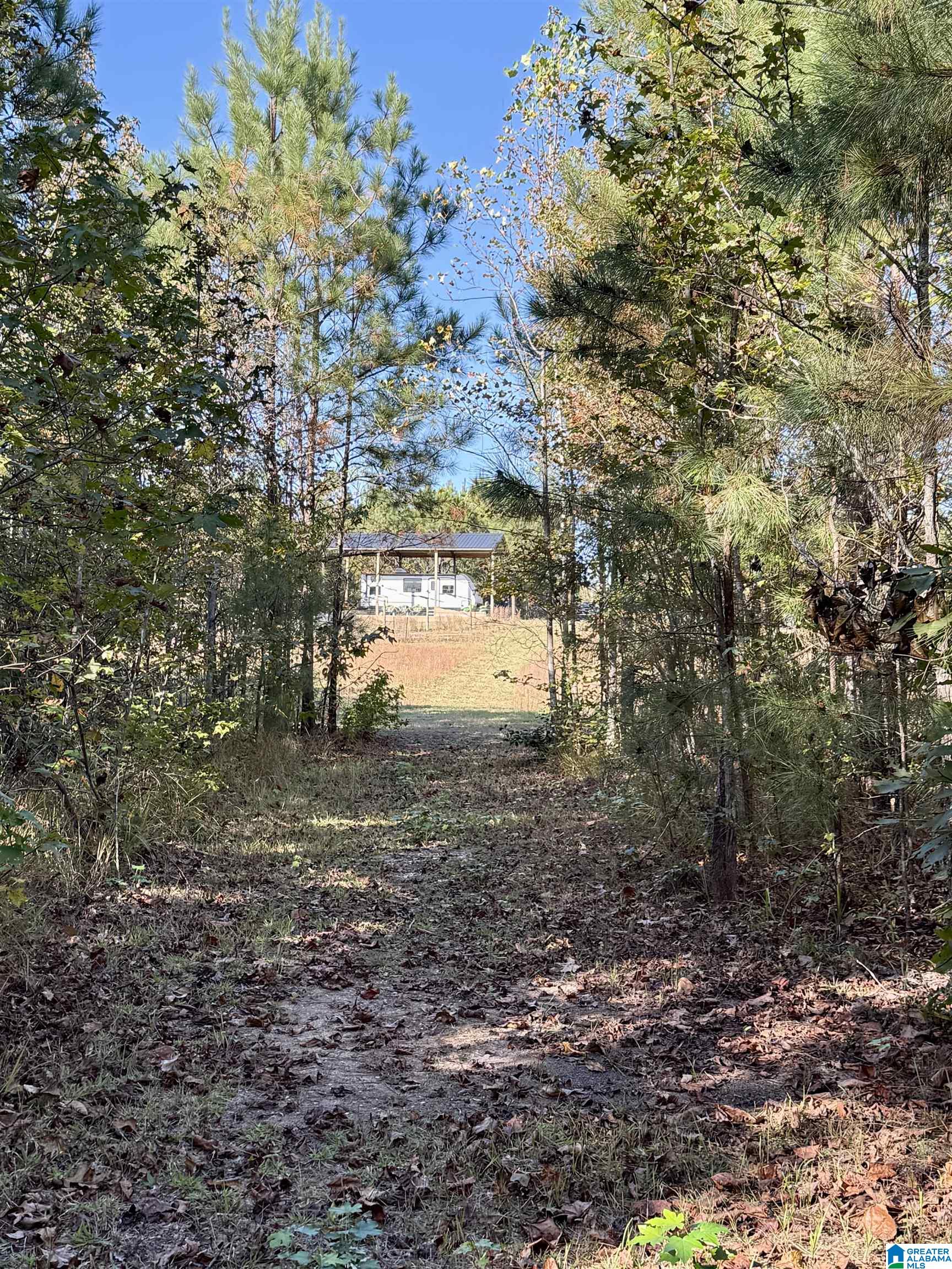 7070 Rendalia Motorway Talladega, AL 35160 - Photo 24 of 28
