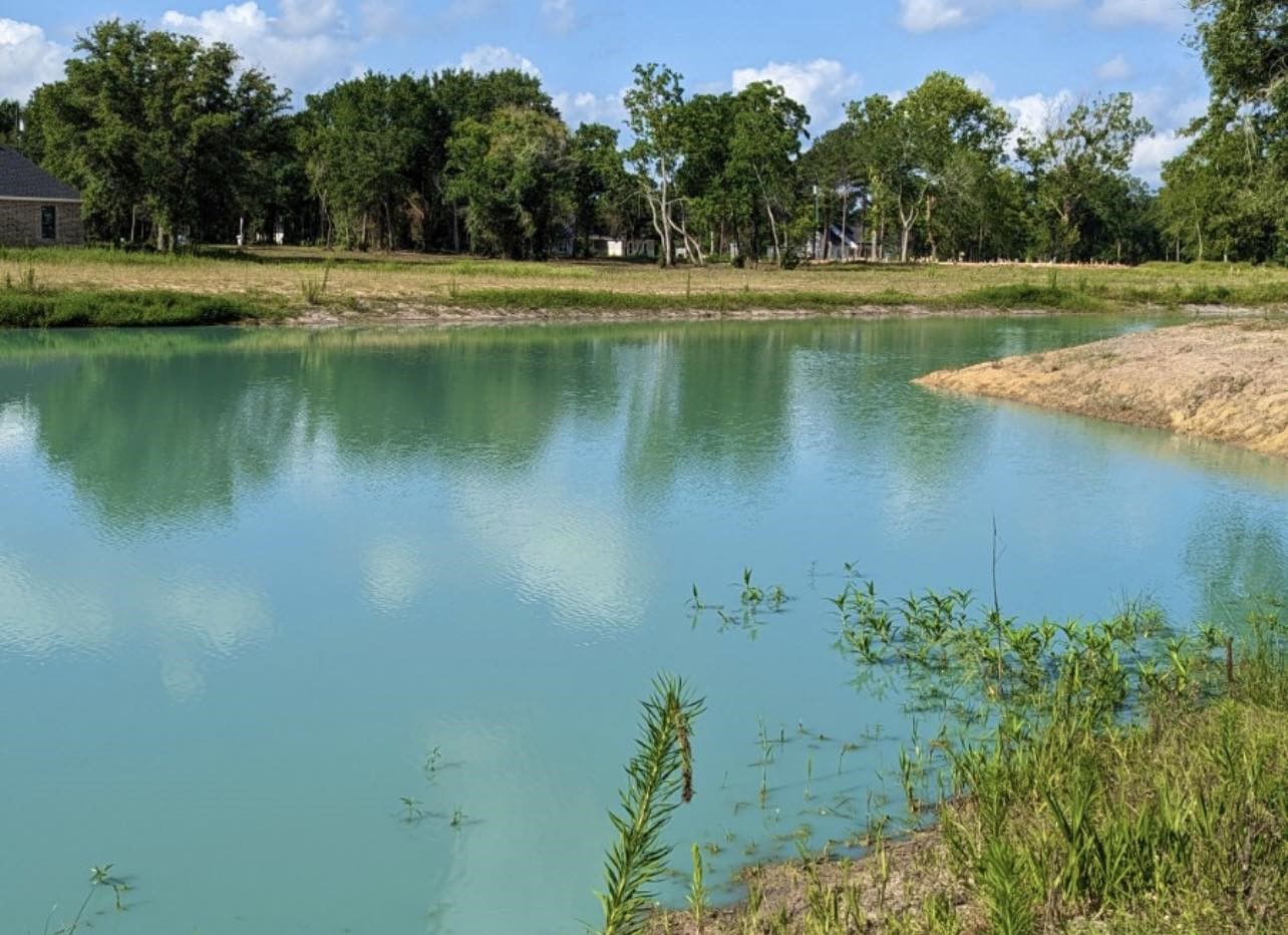 4802 Shadow Pond Lane Alvin, TX 77511 - Photo 5 of 9