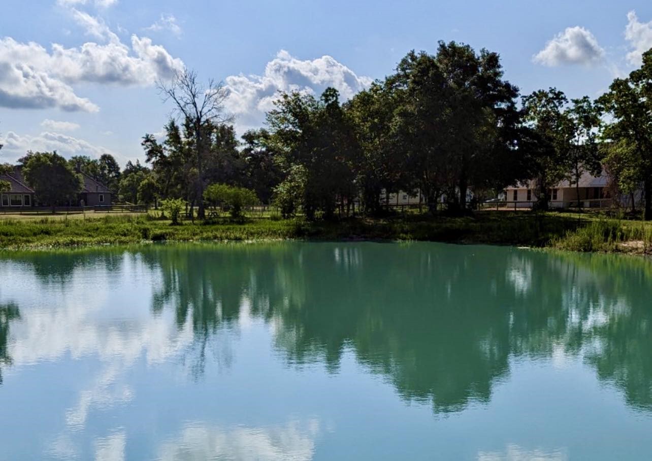 4802 Shadow Pond Lane Alvin, TX 77511 - Photo 6 of 9